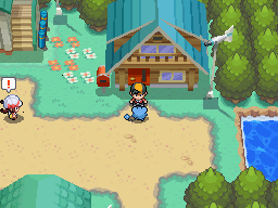Pokemon HeartGold Version