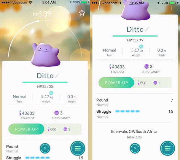 Pokémon Go: Ditto exclusivo da África!